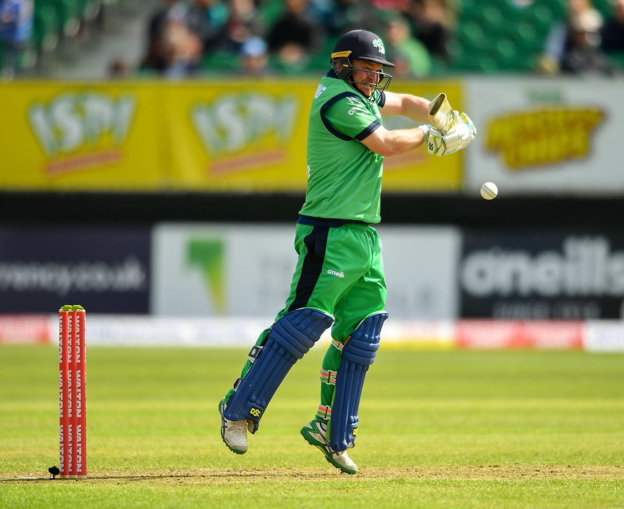 Paul Stirling gets on top of the bounce, Ireland v West Indies, Match 4, Ireland tri-series, Dublin, May 11, 2019