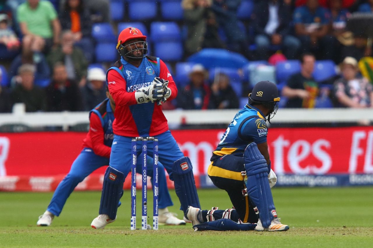 Kusal Perera is caught behind by Mohammad Shahzad, Afghanistan v Sri Lanka, World Cup 2019, Cardiff, June 4, 2019