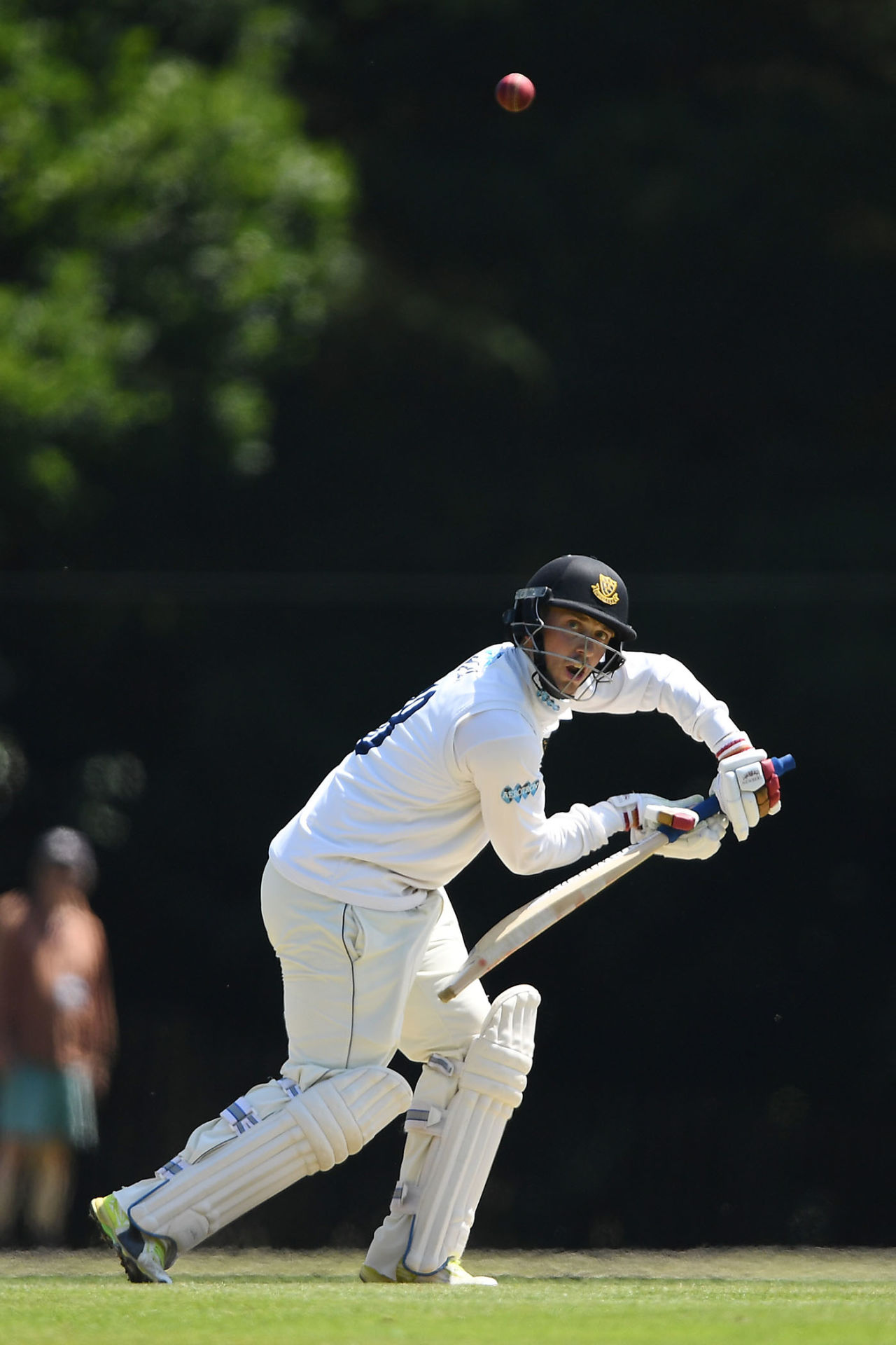 Will Beer of Sussex in action, Sussex v South Africa A, Tour match, Arundel Castle, June 14, 2017