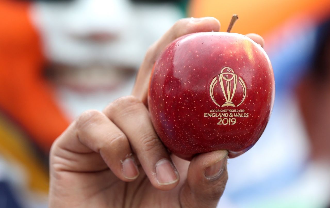 A fan holds up a World Cup apple, India v New Zealand, World Cup 2019, Trent Bridge, June 13, 2019