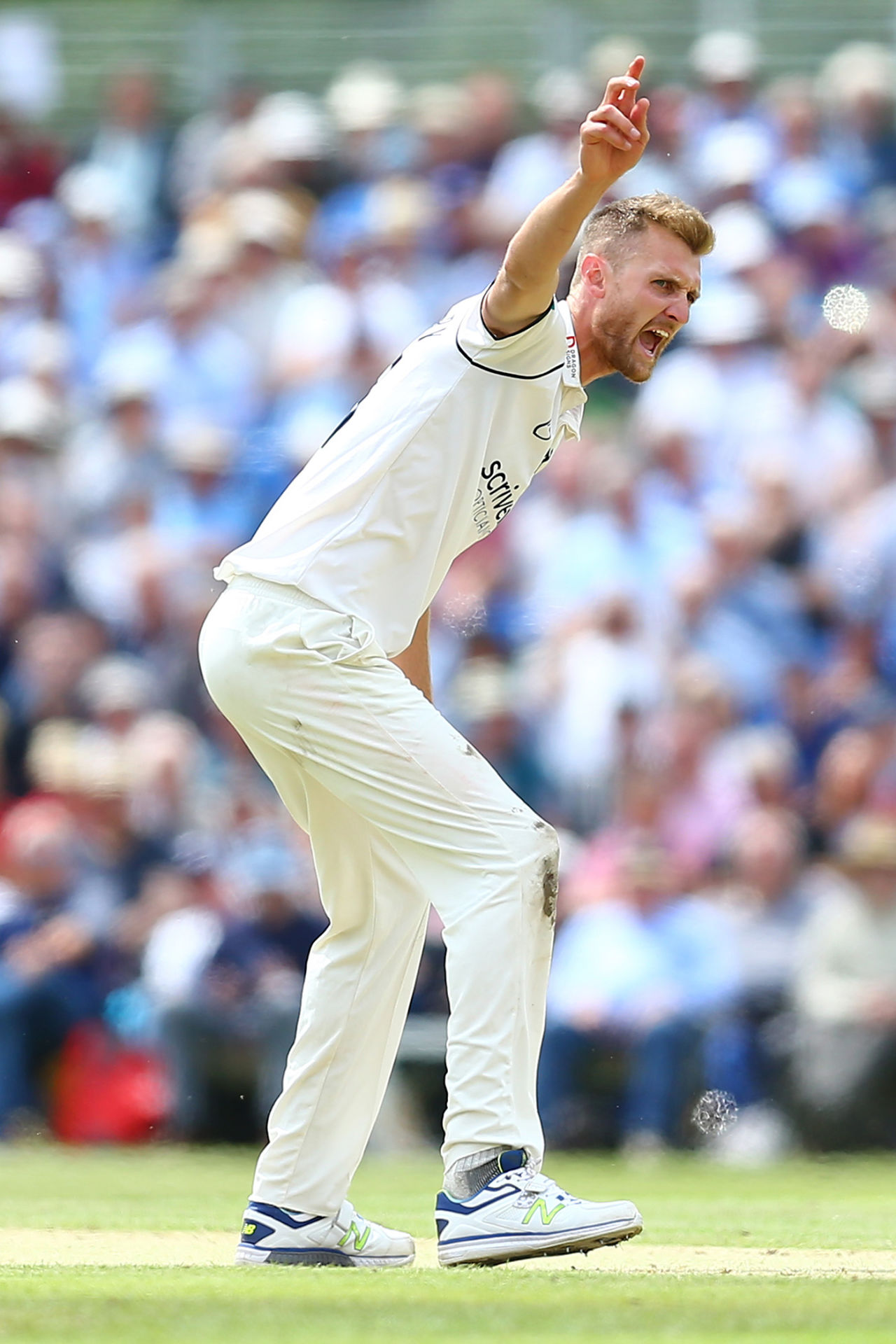 Oliver Hannon-Dalby belts out an appeal, Yorkshire v Warwickshire, County Championship, Division One, York, June 18, 2019