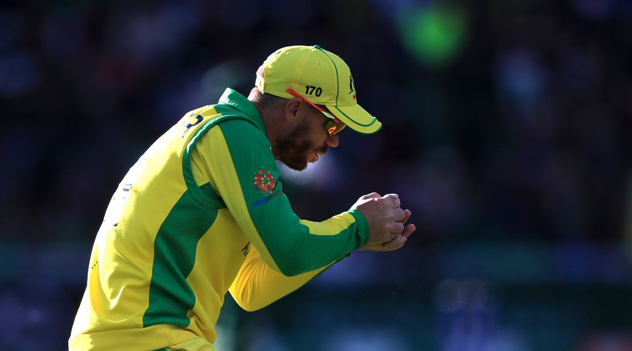 David Warner catches out Mehidy Hasan, Australia v Bangladesh, World Cup 2019, Trent Bridge, June 20, 2019