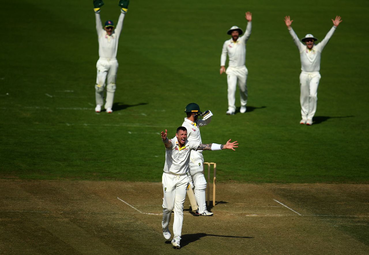 James Pattinson appeals successfully for the wicket of Alex Carey, Brad Haddin XII v Graeme Hick XII, Australian Cricket Team Ashes Tour match, The Ageas Bowl on July 24, 2019
