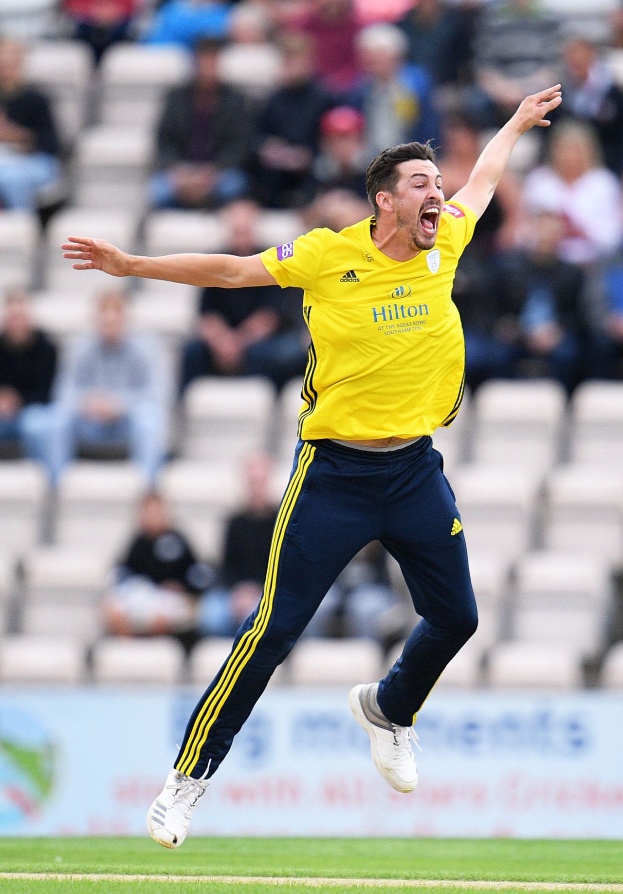 Chris Wood celebrates a wicket, Hampshire v Somerset, Vitality Blast, South Group, August 9, 2019