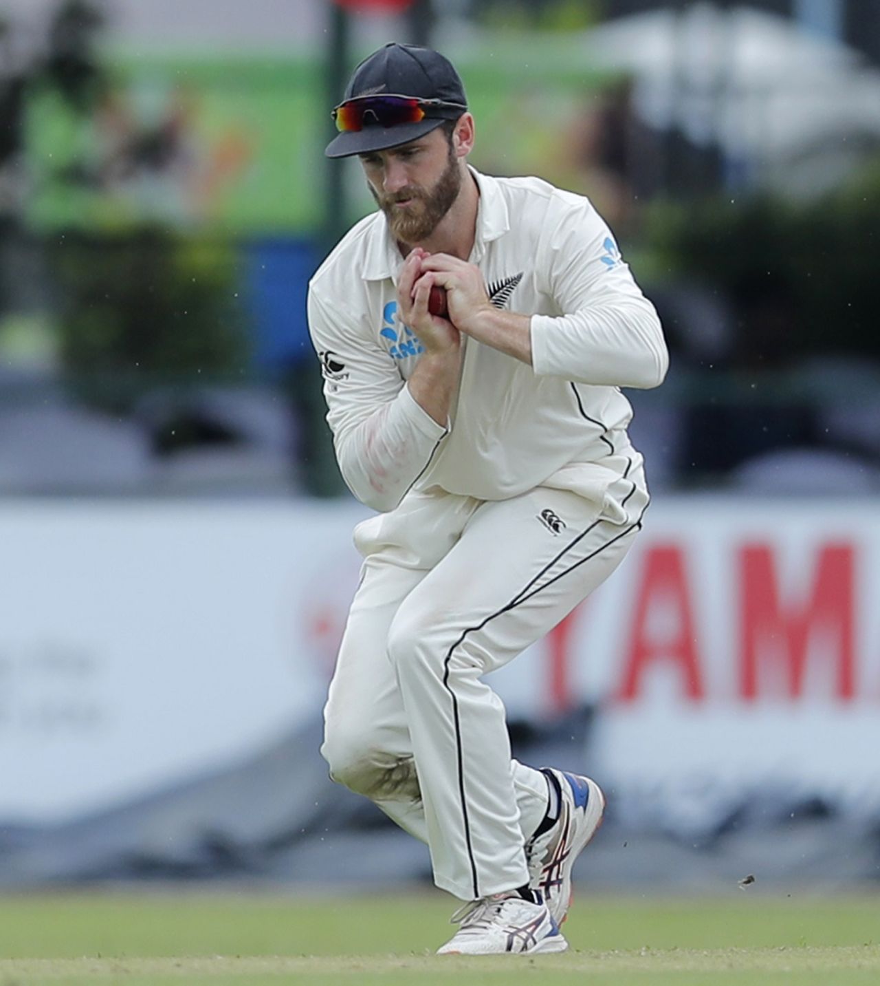 Kane Williamson takes a simple catch, Sri Lanka v New Zealand, 2nd Test, Colombo (PSS), 1st day, August 22, 2019
