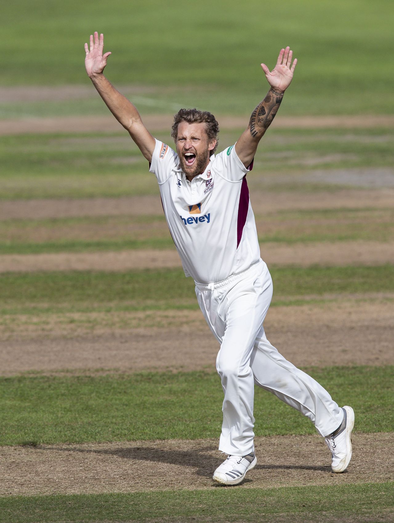 Gareth Berg appeals, Gloucestershire v Northamptonshire, County Championship, Division Two, Bristol, September 23, 2019