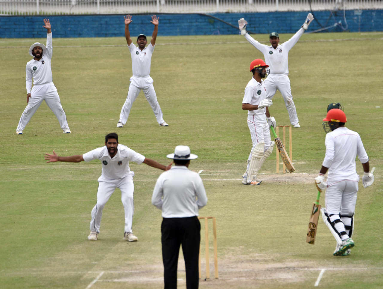 Amad Butt belts out an appeal, Northern v Balochistan, 4th round, Quaid-e-Azam Trophy, 2nd day, October 6, 2019