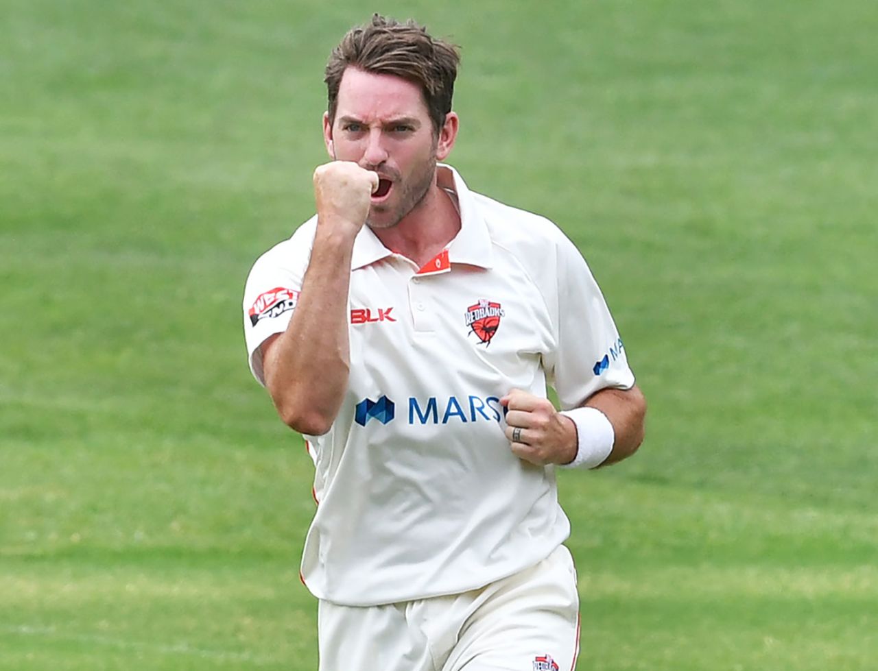 Chadd Sayers took out New South Wales' top order, South Australia v New South Wales, Sheffield Shield, Adelaide Oval, November 1, 2019