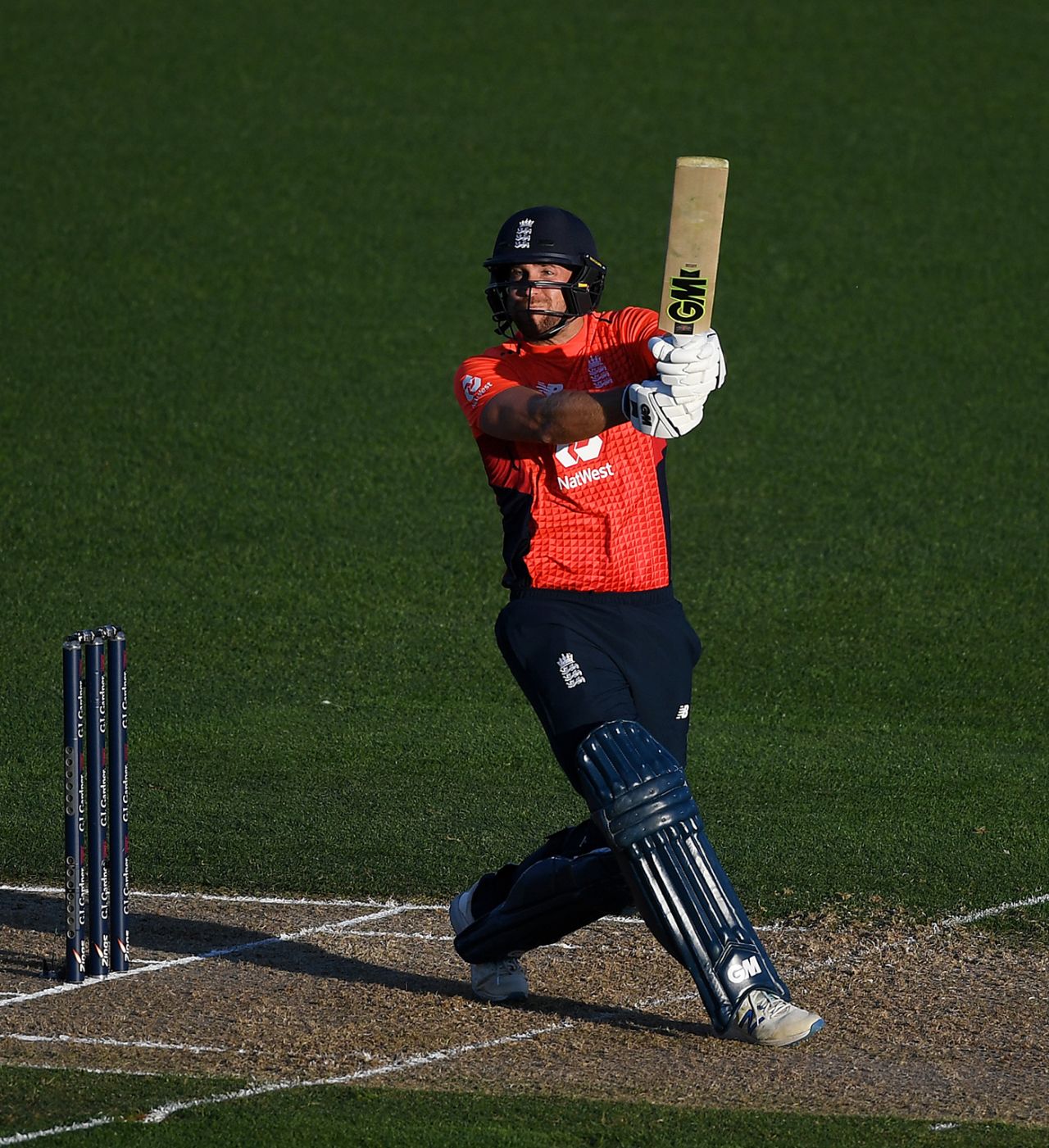 Dawid Malan plays a pull shot, New Zealand v England, 4th T20I, Napier, November 8, 2019