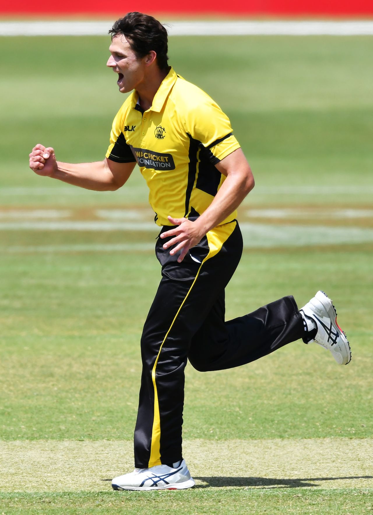 Nathan Coulter-Nile celebrates a wicket, South Australia v Western Australia, Marsh Cup, Adelaide, November 17, 2019