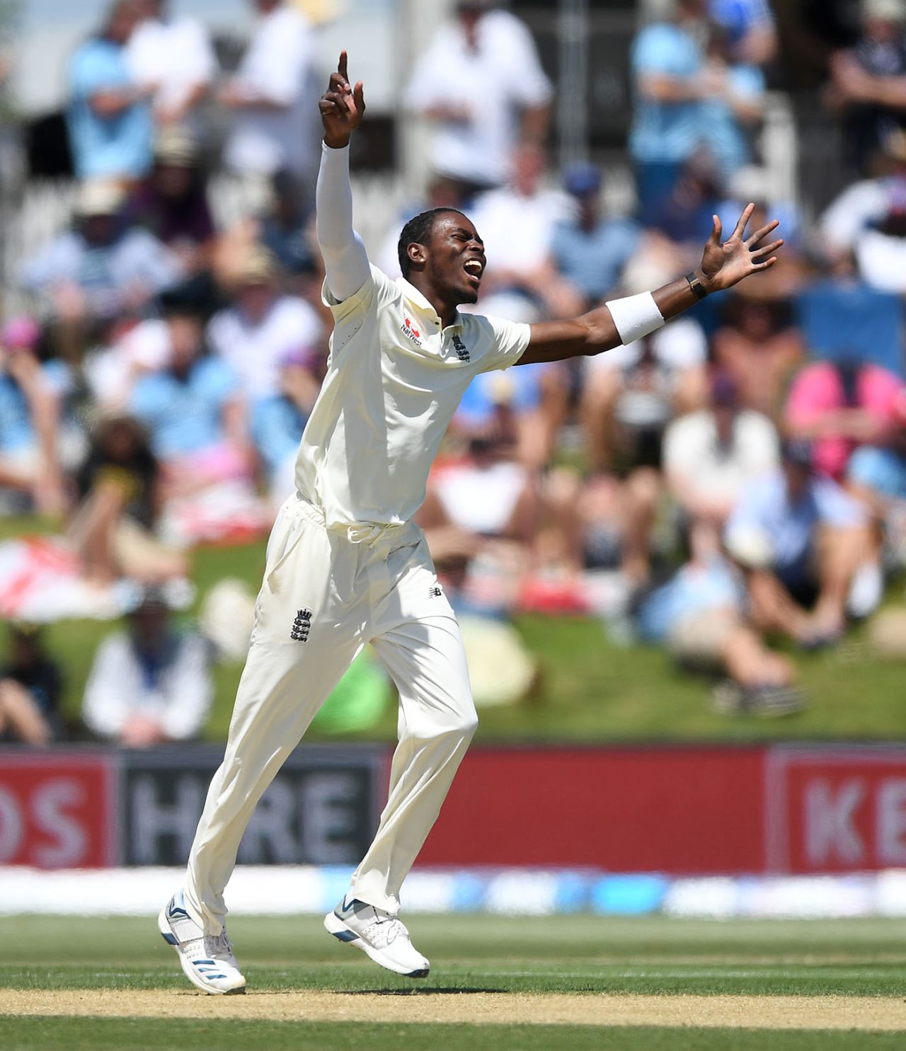 Jofra Archer yelps in anguish, New Zealand v England, 1st Test, Mount Maunganui, 3rd day, November 23, 2019