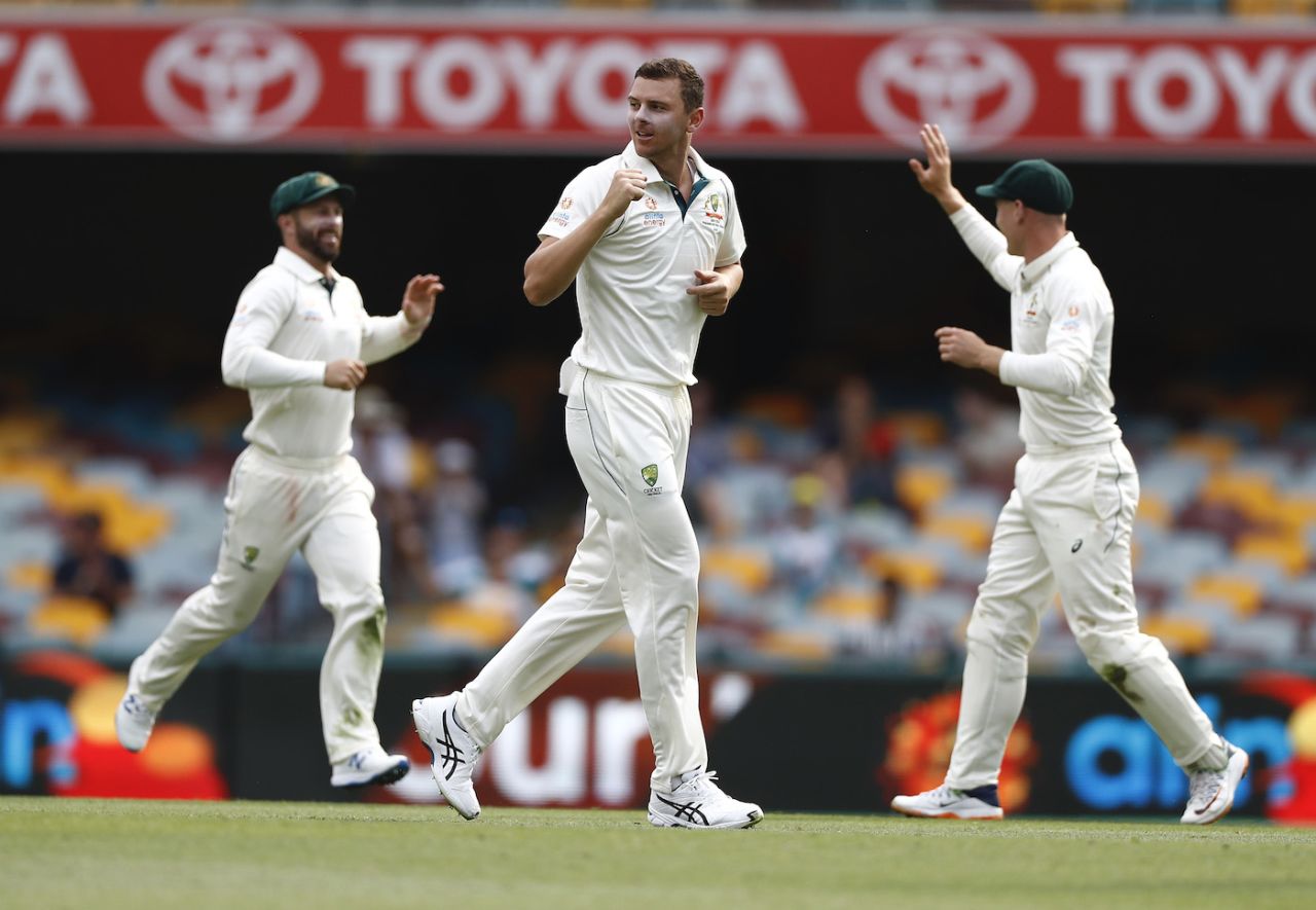 Josh Hazlewood celebrates a wicket, Australia v Pakistan, 1st Test, Brisbane, November 24, 2019