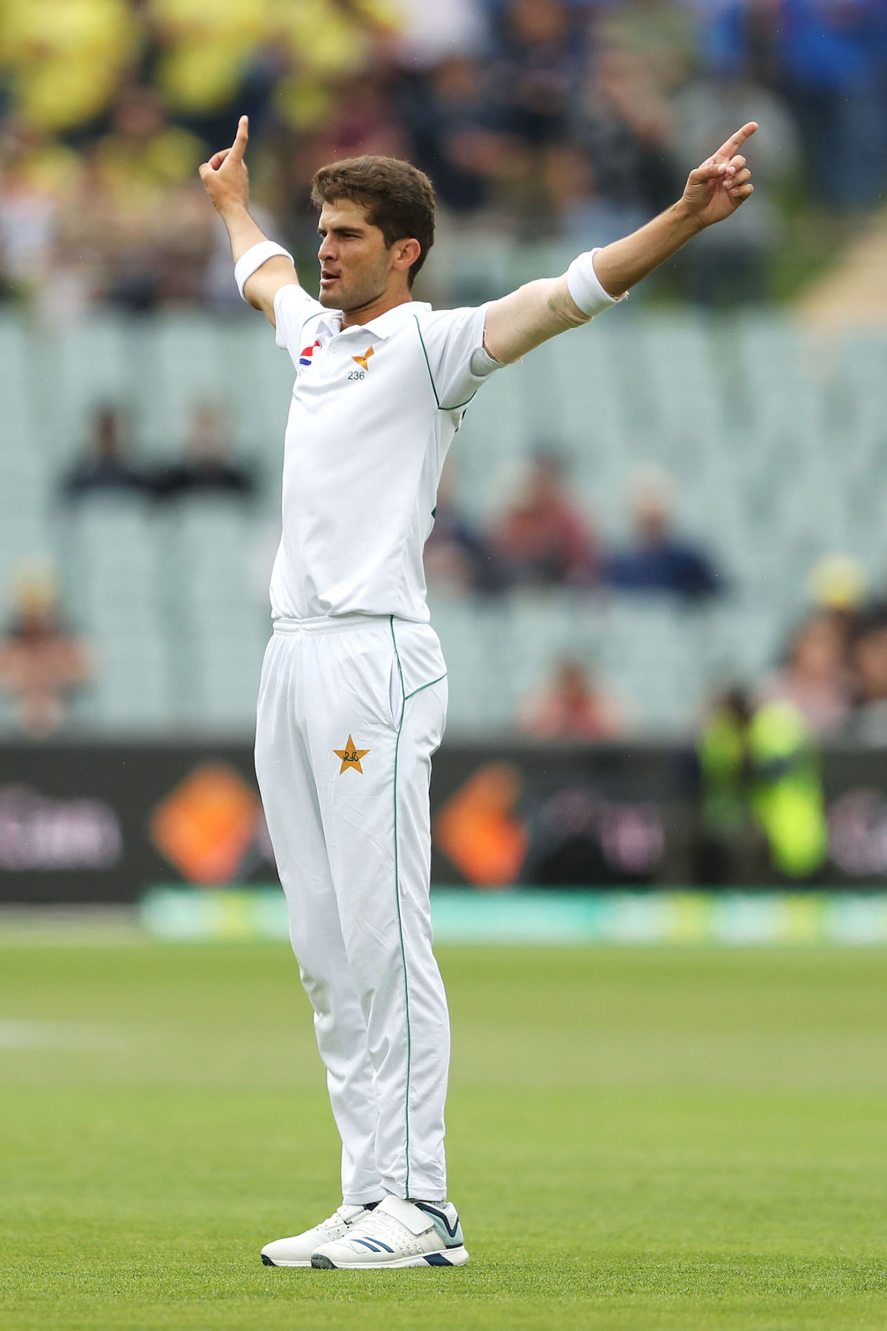 Shaheen Afridi celebrates an early wicket, Australia v Pakistan, Day 1, 2nd Test, Adelaide, November 29, 2019