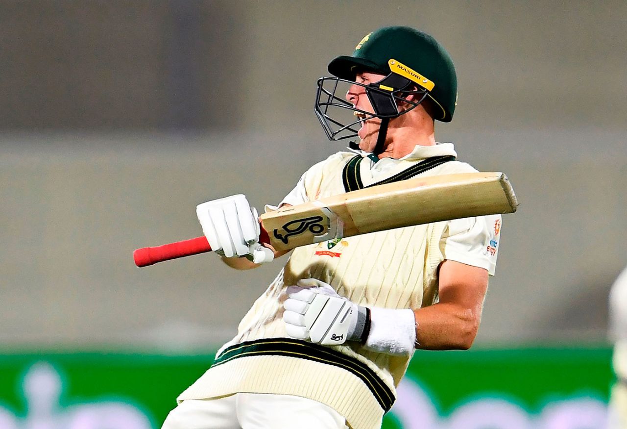 Marnus Labuschagne reached his second Test century, Australia v Pakistan, 2nd Test, Adelaide, 1st day, November 29, 2019
