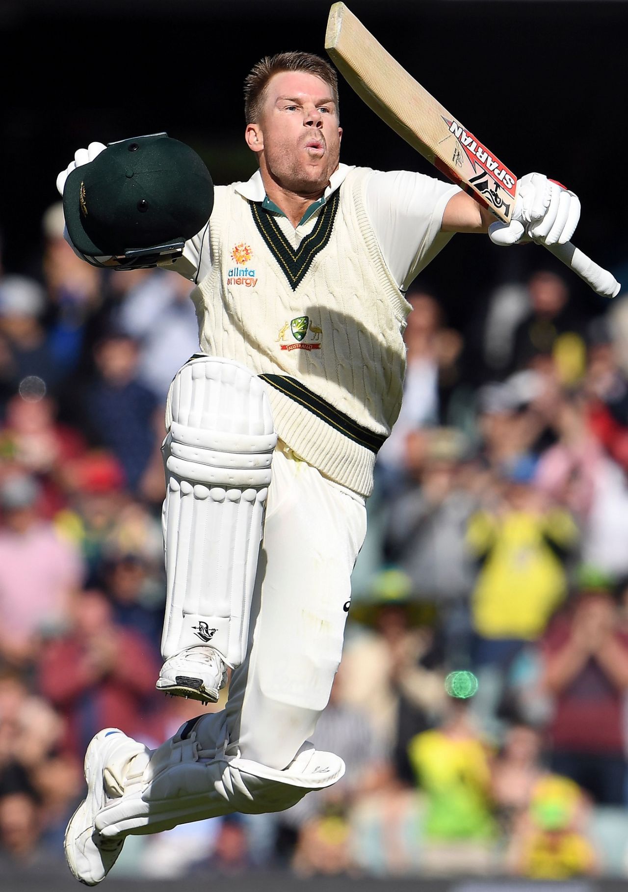 The leap - David Warner goes higher than he has before, Australia v Pakistan, 2nd Test, Adelaide, 2nd day, November 30, 2019