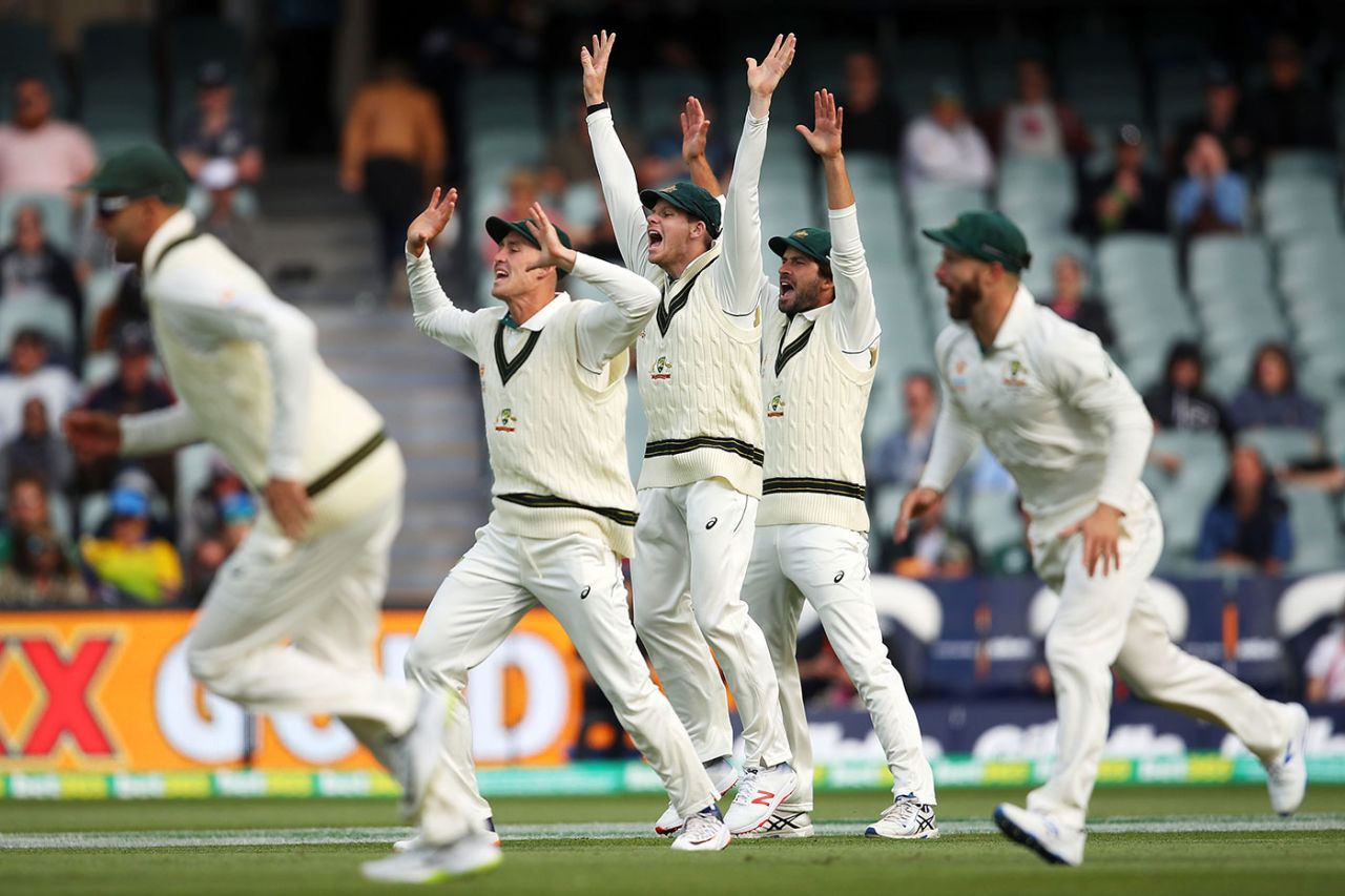 Australia's slip cordon goes up for an appeal, Australia v Pakistan, 2nd Test, Adelaide, 2nd day