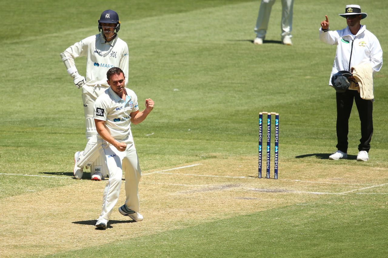Steve O'Keefe celebrates a wicket, Victoria v New South Wales, Sheffield Shield, Melbourne, December 1, 2019
