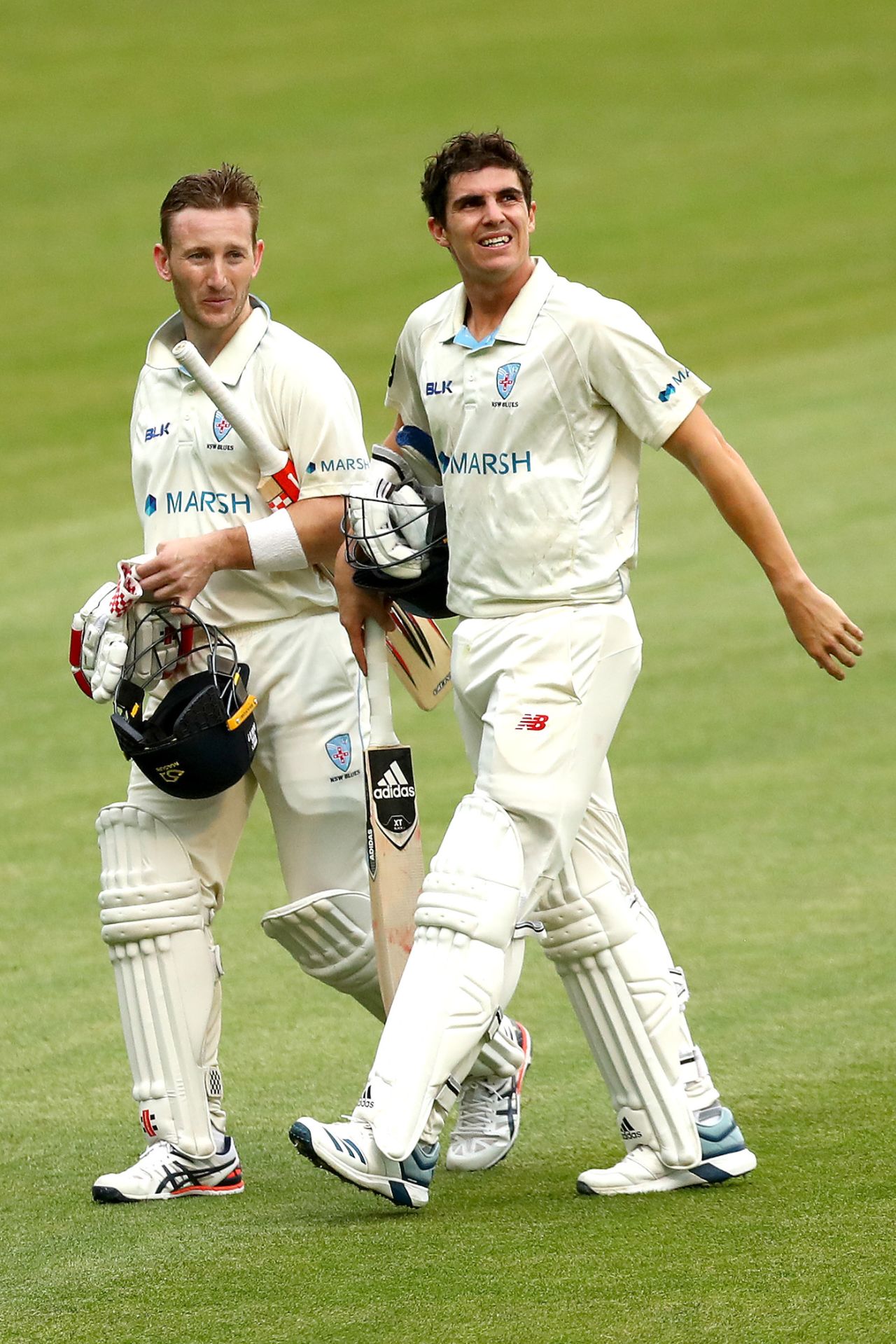 Peter Nevill and Sean Abbott combined for an excellent partnership