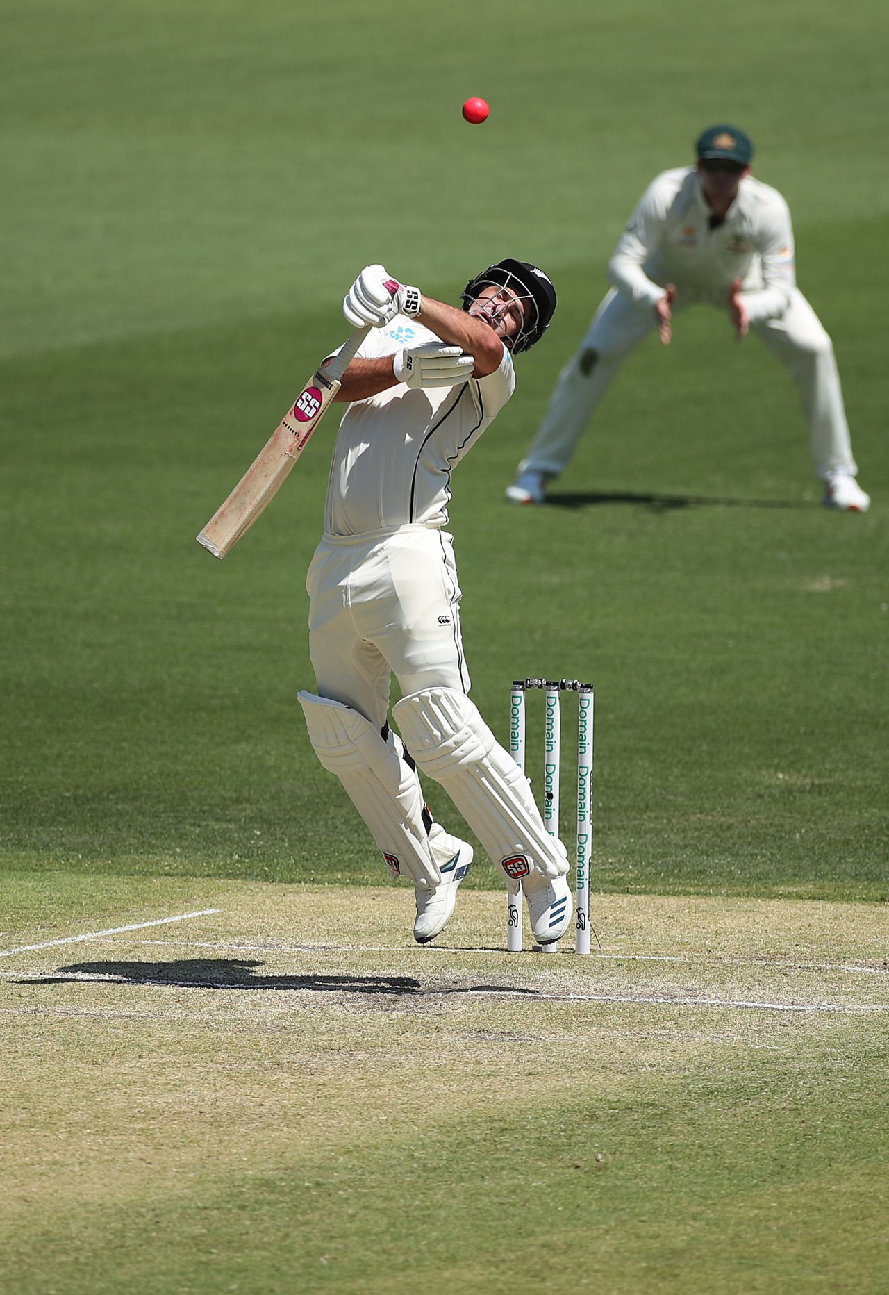 Colin de Grandhomme was adjudged caught off a snorter from Mitchell Starc, Australia v New Zealand, 1st Test, Perth, 3rd day, December 14, 2019