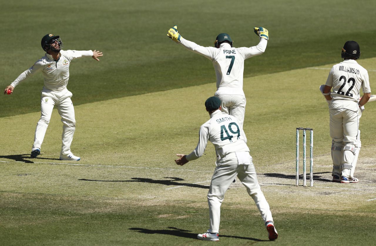 Matthew Wade catches Kane Williamson off Nathan Lyon, Australia v New Zealand, 1st Test, Perth, 4th day, December 15, 2019