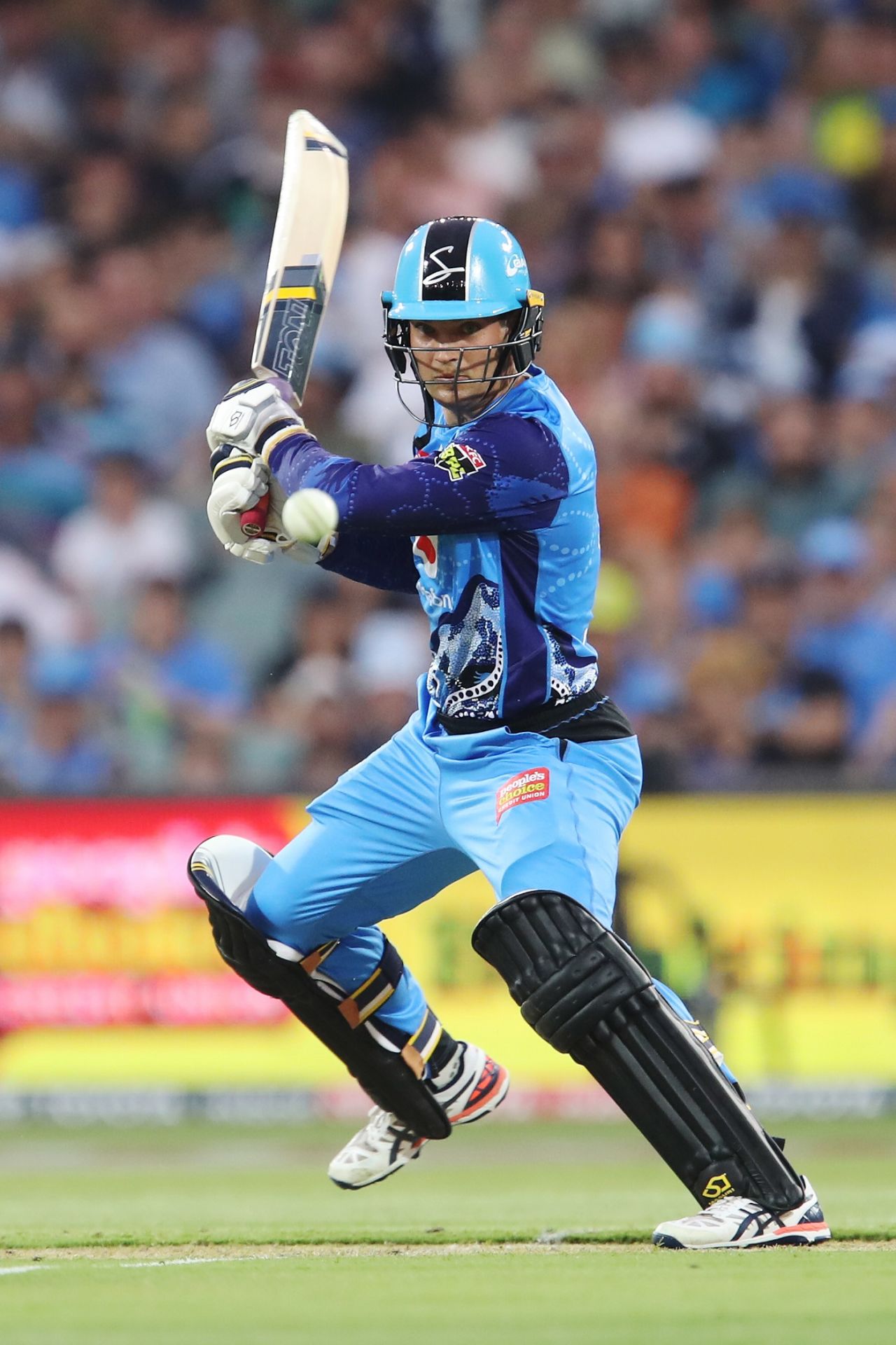 Alex Carey plays a square cut, Adelaide Strikers v Perth Scorchers, Adelaide, December 23, 2019