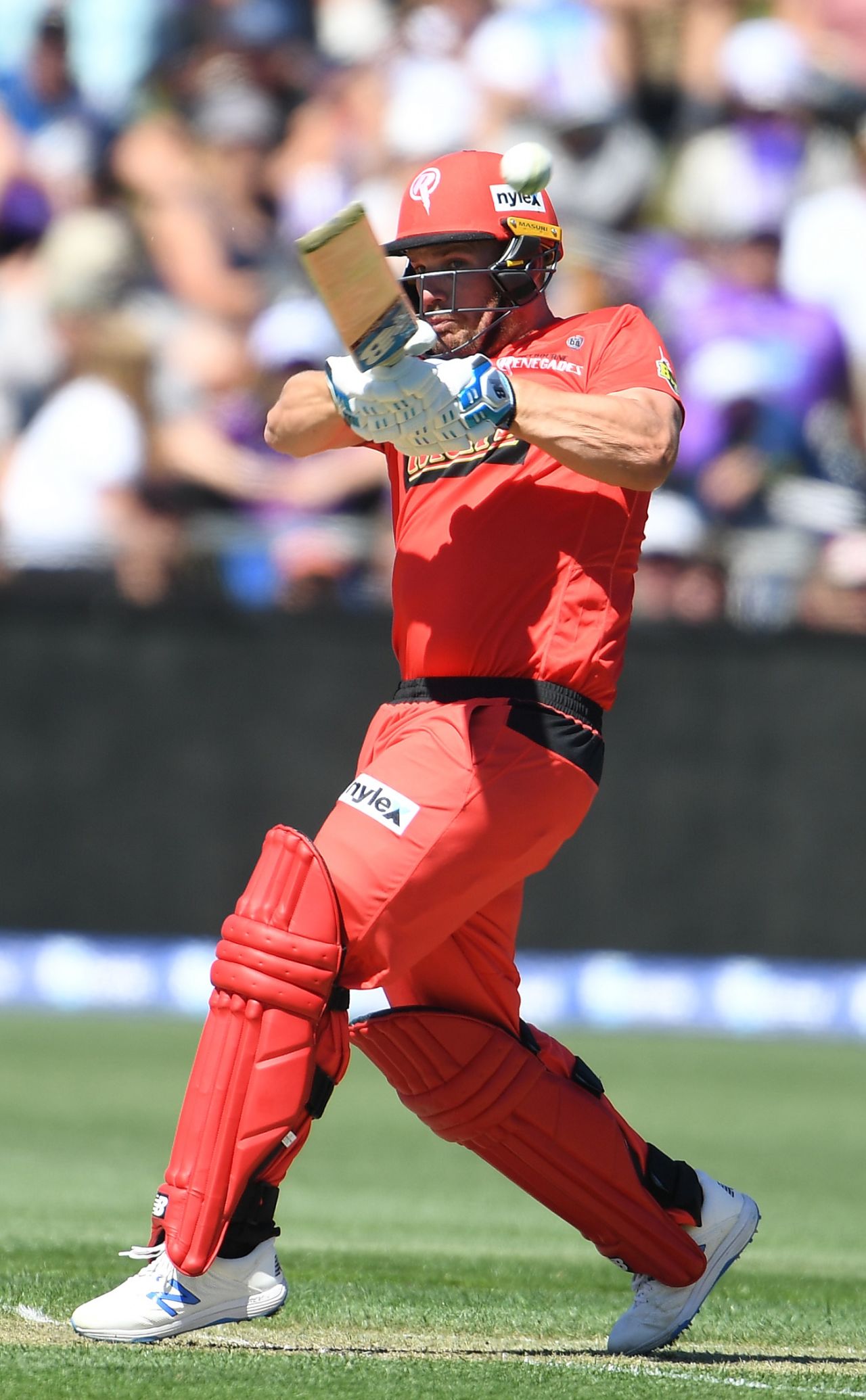 Aaron Finch top-scored for the Renegades, Hobart Hurricanes v Melbourne Renegades, Big Bash League, Hobart, December 24, 2019