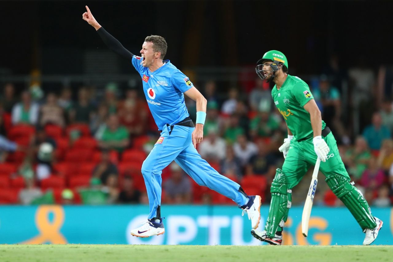 Peter Siddle's experience has often come good in the BBL, Melbourne Stars v Adelaide Strikers, Big Bash League, Carrara, December 27, 2019