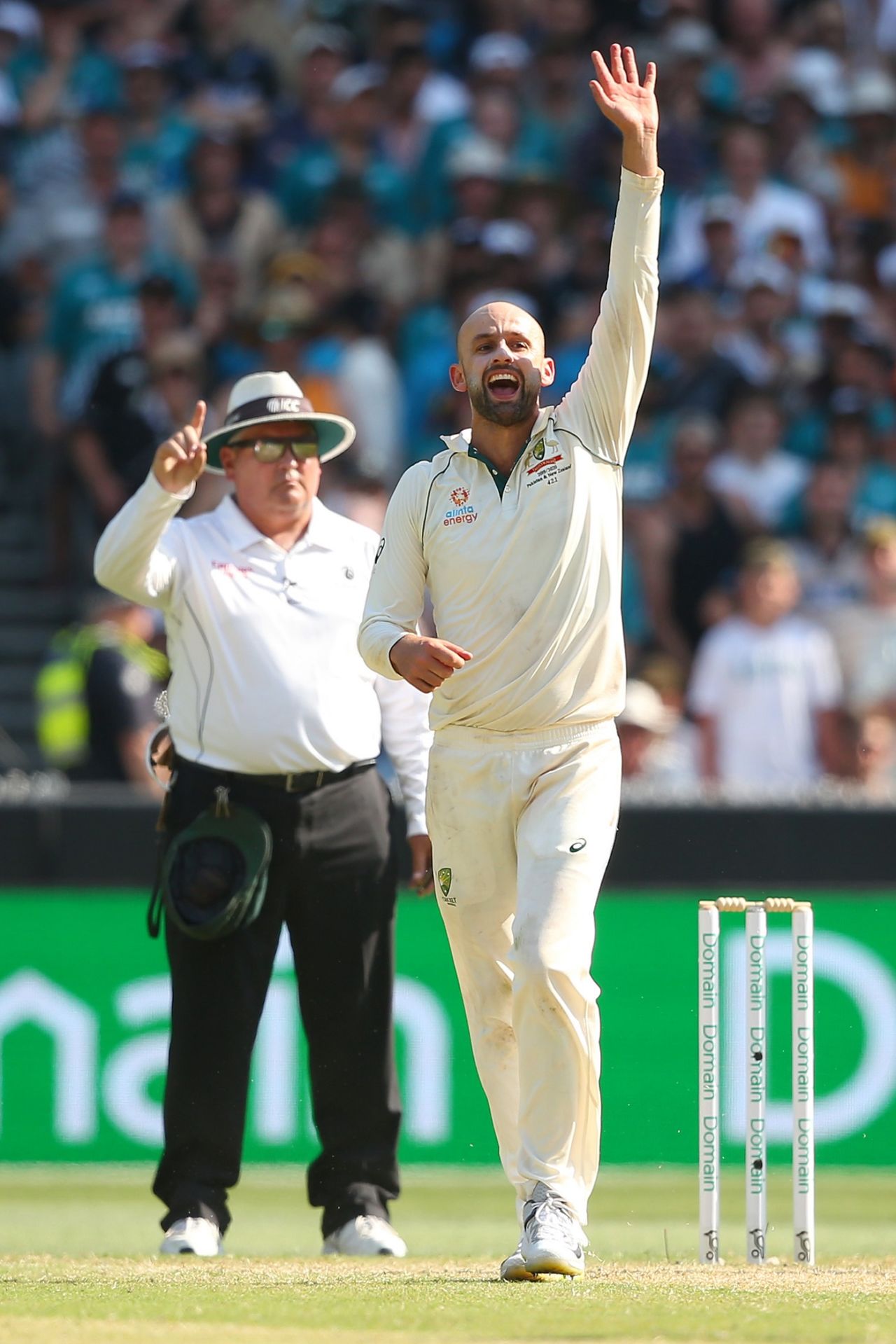 Nathan Lyon celebrates a wicket, Australia v New Zealand, 2nd Test, Melbourne, Day 4, December 29, 2019