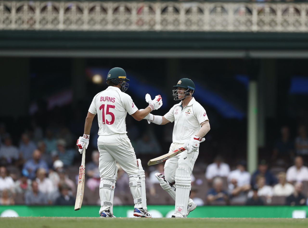 David Warner and Joe Burns celebrate their century stand, Australia v New Zealand, 3rd Test, Sydney, 4th day, January 6, 2020