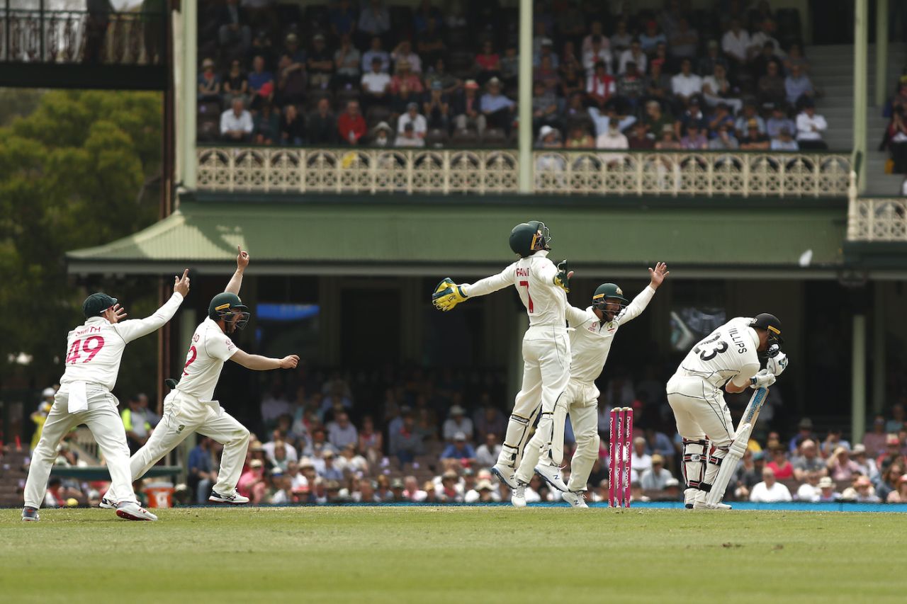Australia celebrate as Tim Paine catches Glenn Phillips, Australia v New Zealand, 3rd Test, Sydney, 4th day, January 6, 2020
