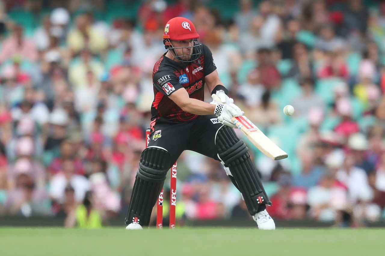 Aaron Finch scored his eighth T20 hundred, Sydney Sixers v Melbourne Renegades, Big Bash, SCG, January 25, 2020