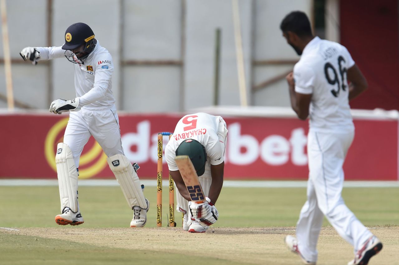 Niroshan Dickwella celebrates a wicket, Zimbabwe v Sri Lanka, 2nd Test, Harare, 4th day, January 30, 2020
