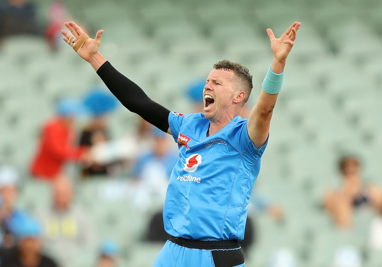 Peter Siddle appeals for the lbw of Callum Ferguson, Adelaide Strikers v Sydney Thunder, Adelaide, The Knockout, BBL09, February 1, 2020