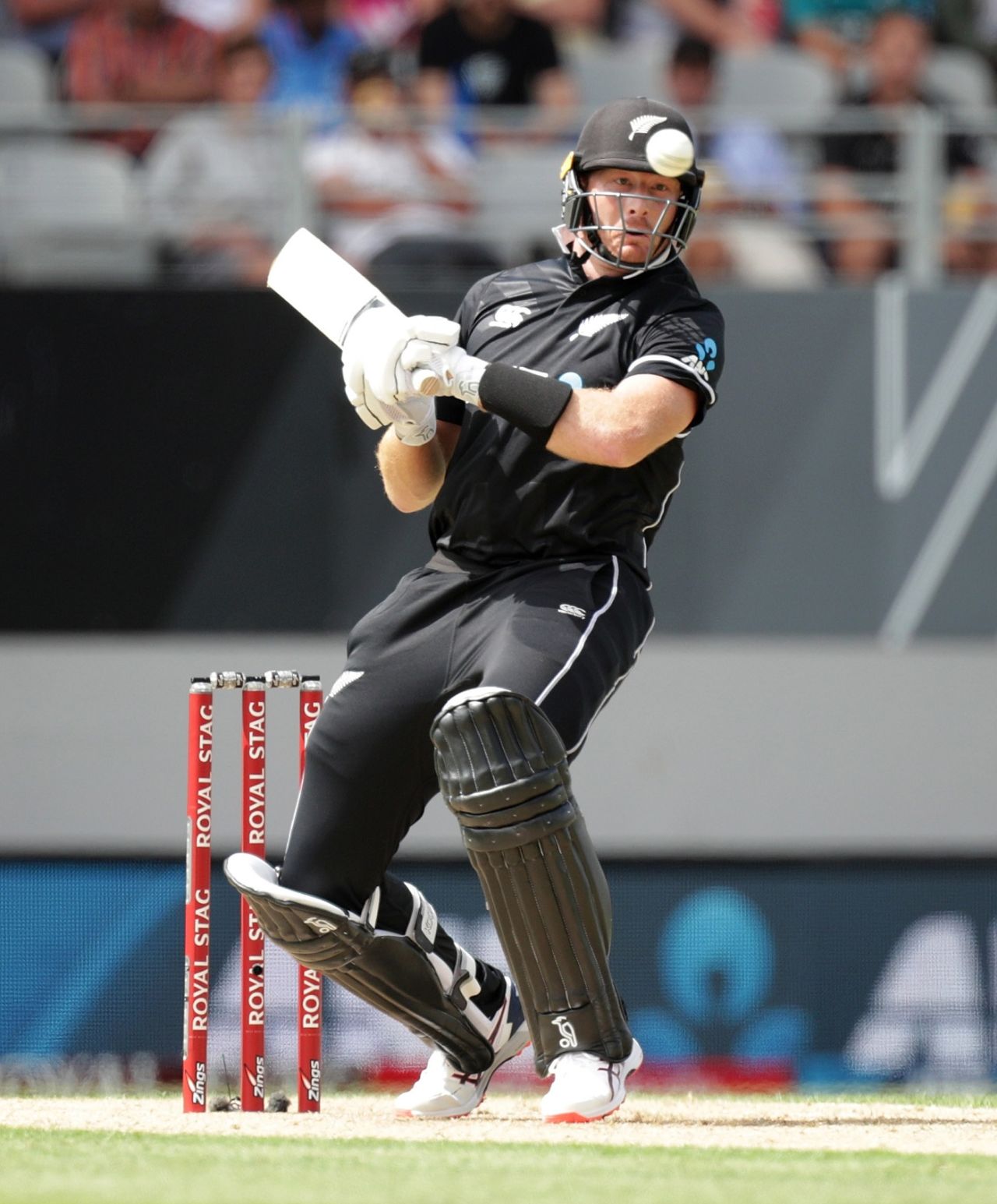 Martin Guptill gets ready to dish out the upper cut, New Zealand v India, 2nd ODI, Auckland, February 8, 2020