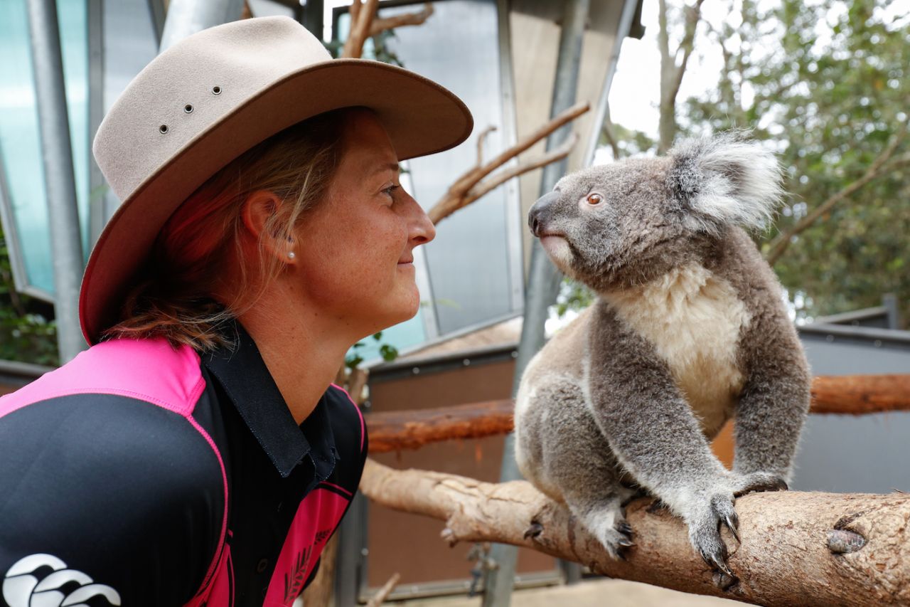 Sophie Devine interacts with a koala during the Women's Twenty20 World Cup captains media call, Taronga Zoo, Sydney, Australia, February 17, 2020
