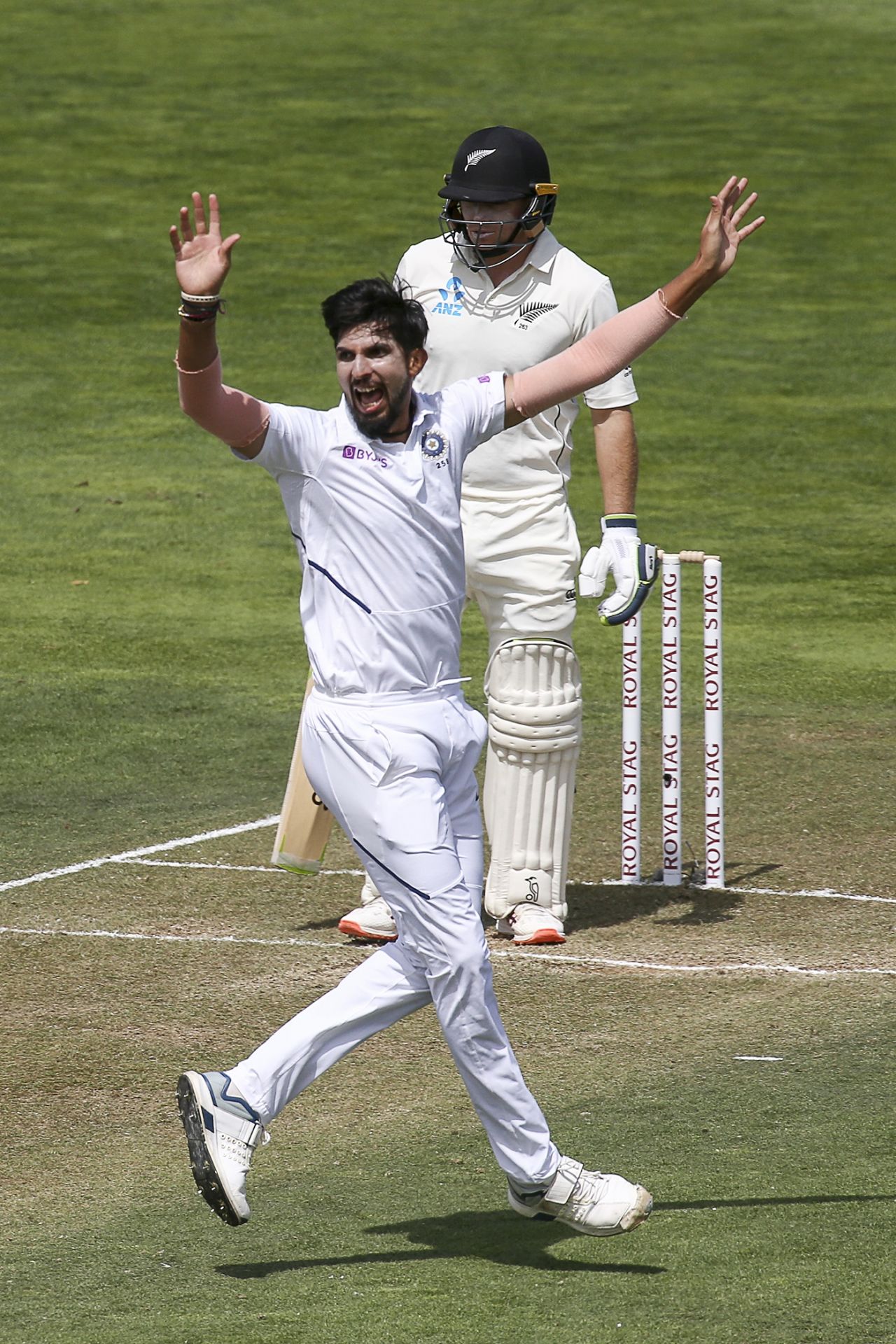 Ishant Sharma goes up in appeal against Tom Latham, New Zealand v India, 1st Test, Wellington, 2nd day, February 22, 2020