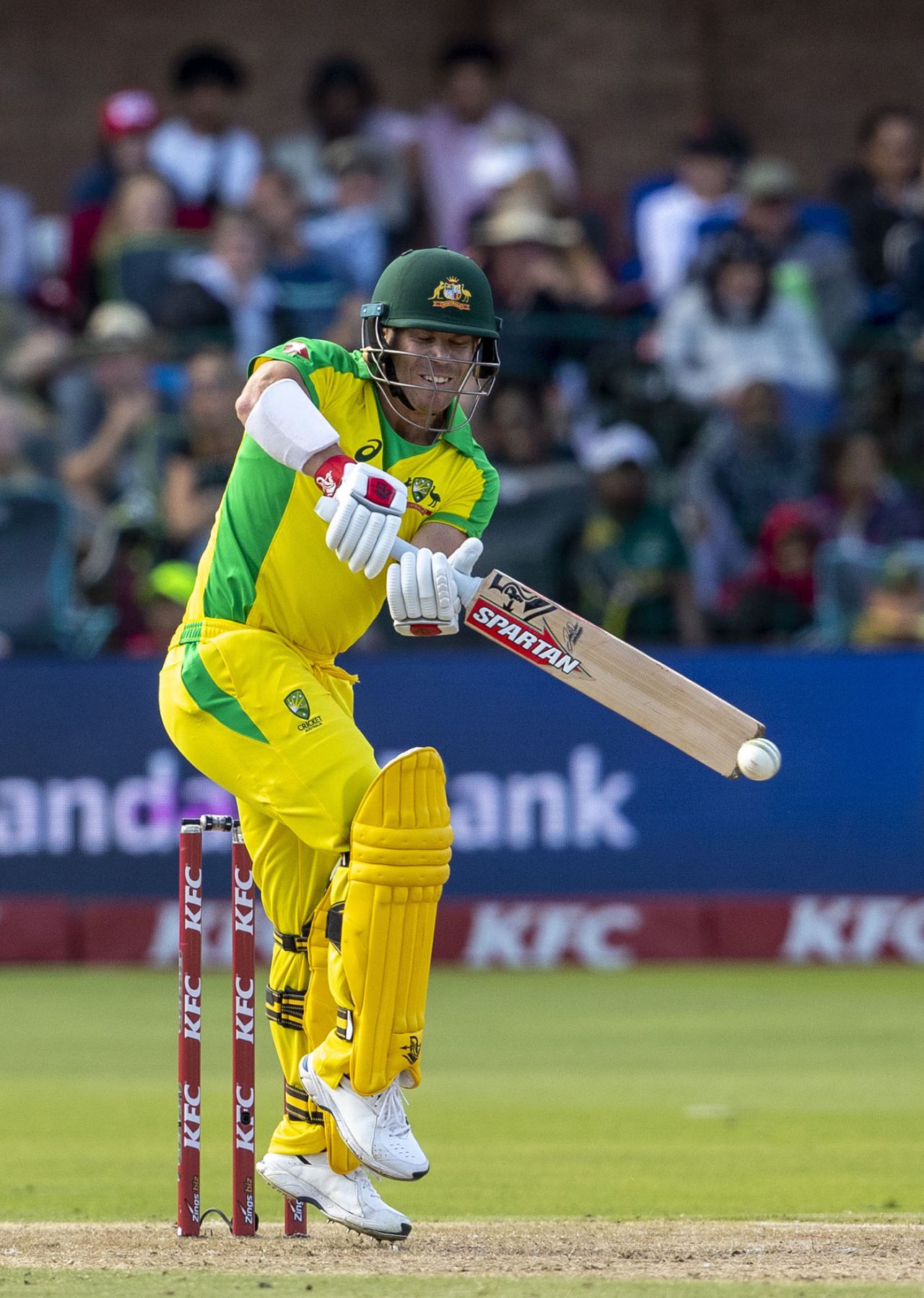 David Warner hops to play the pull, South Africa v Australia, 2nd T20I, Port Elizabeth, February 23, 2020