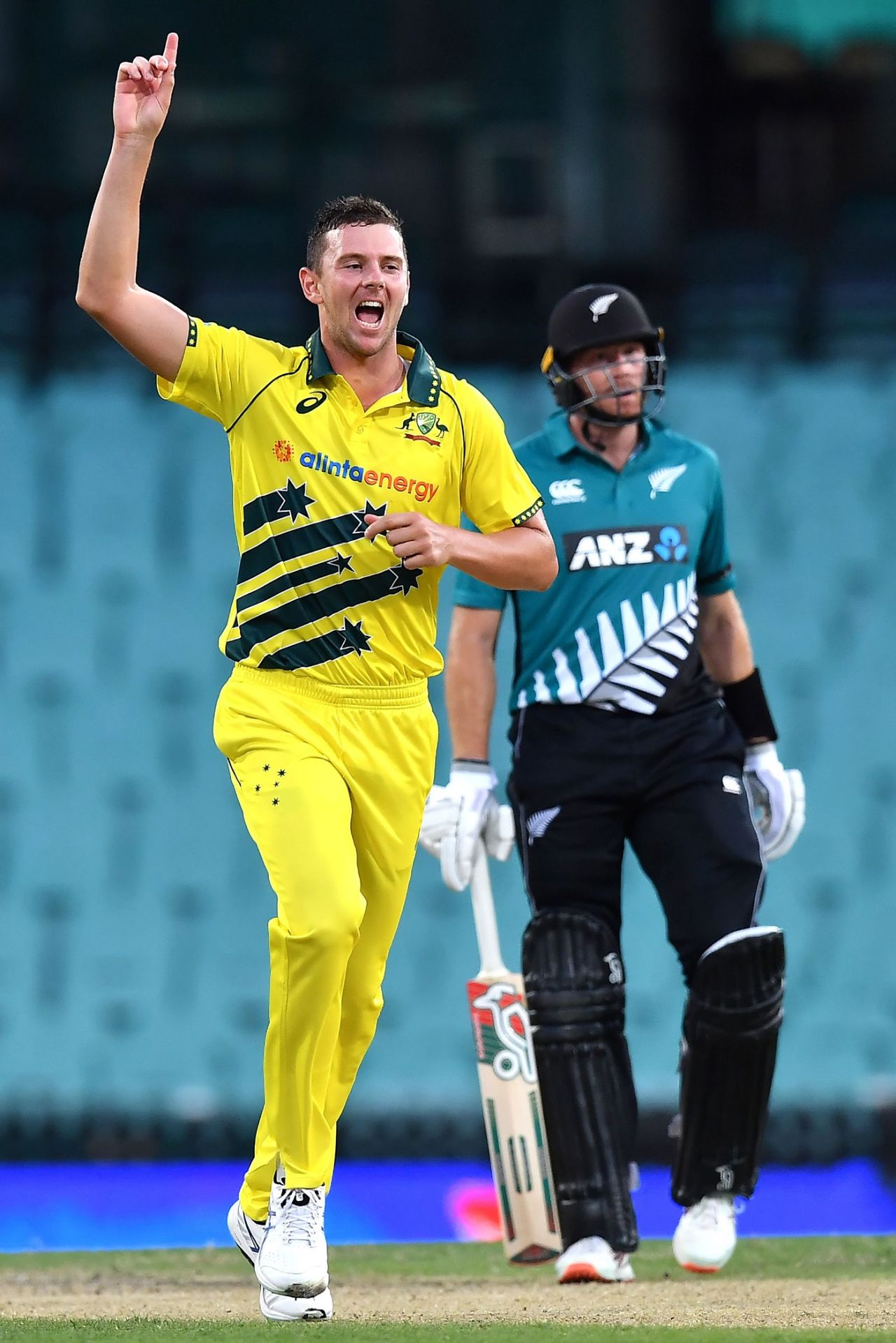 Josh Hazlewood celebrates a wicket, Australia v New Zealand, 1st ODI, Sydney, March 13, 2020