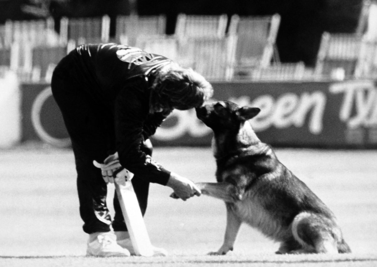Ian Botham befriends a dog on the pitch at Hove, Sussex before match between Sussex and Somerset, May 19, 1986