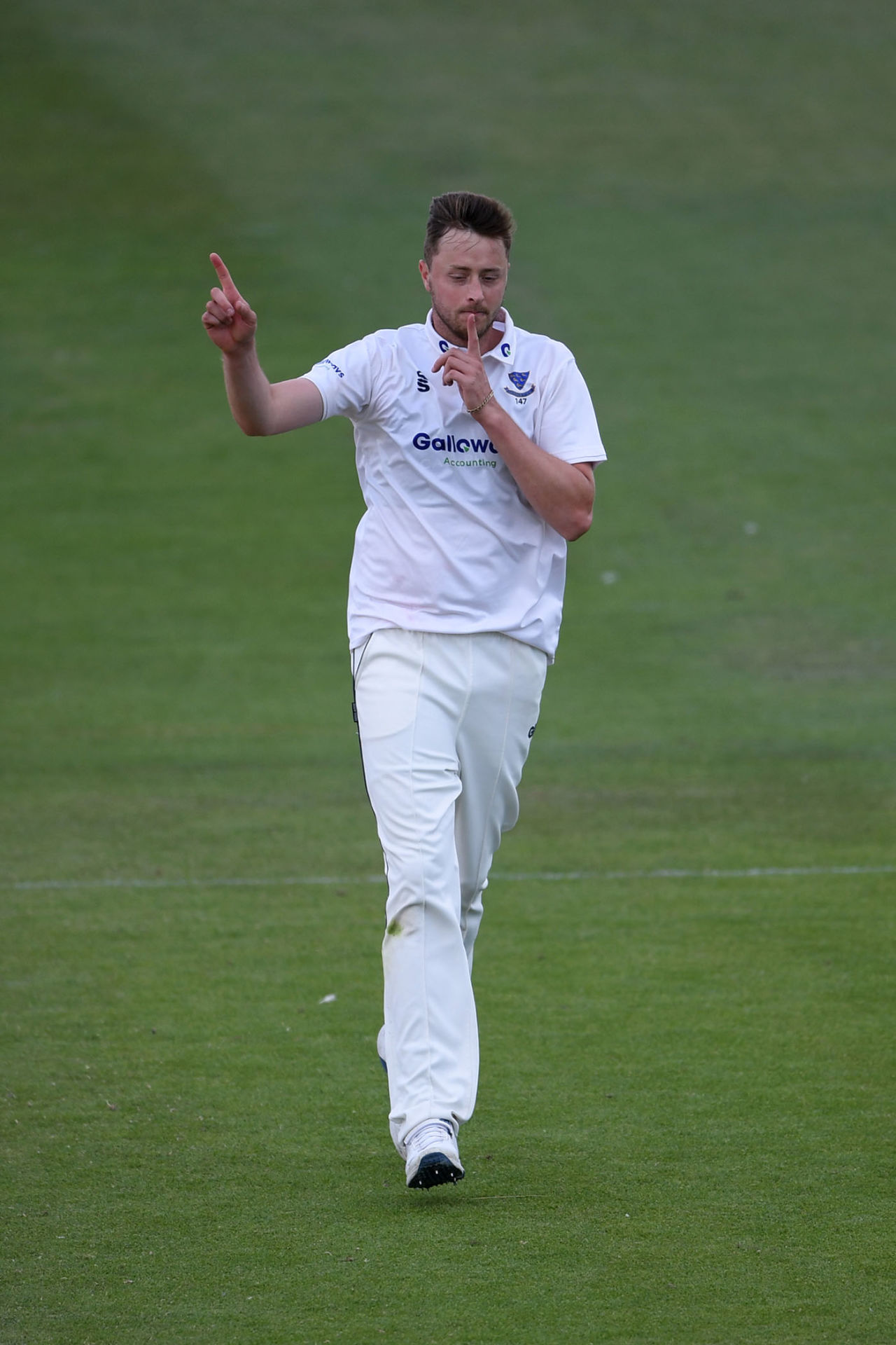 Ollie Robinson celebrates another scalp, Sussex v Hampshire, Day 3, Bob Willis Trophy, Hove, August 3, 2020