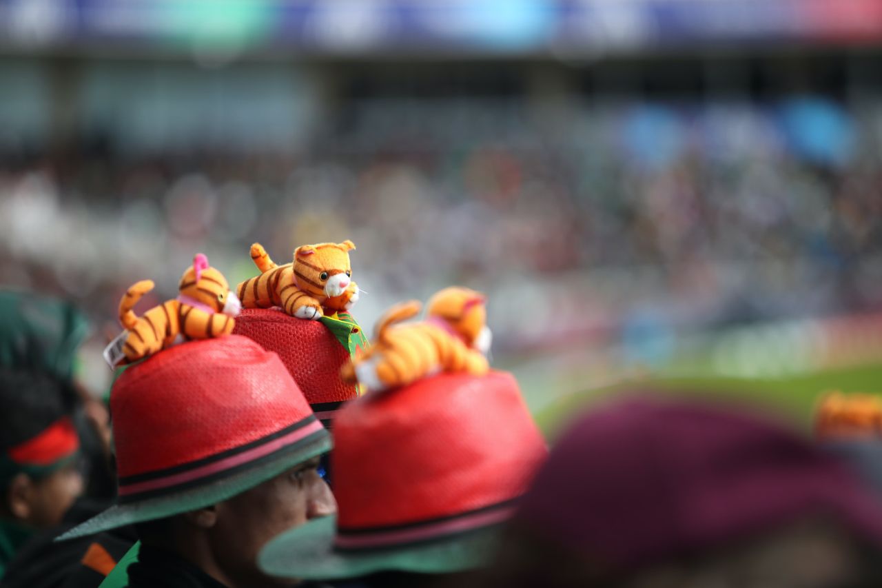 Bangladesh fans with tigers on their hats, group stage match, World Cup 2019, Australia v Bangladesh, Trent Bridge, June 20, 2019