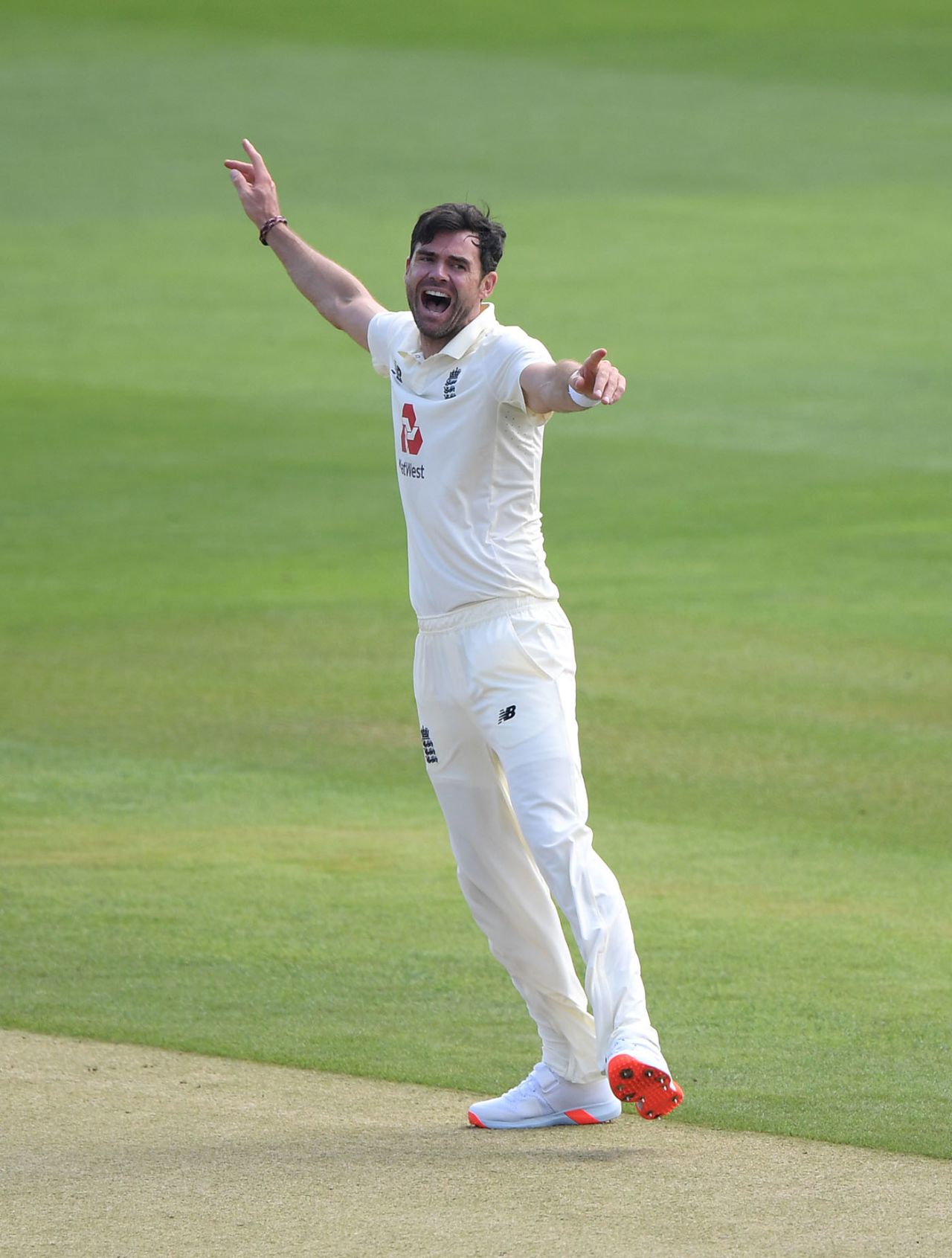James Anderson celebrates the wicket of Shan Masood, England v Pakistan, Ageas Bowl, 2nd Test, 1st day, August 13, 2020