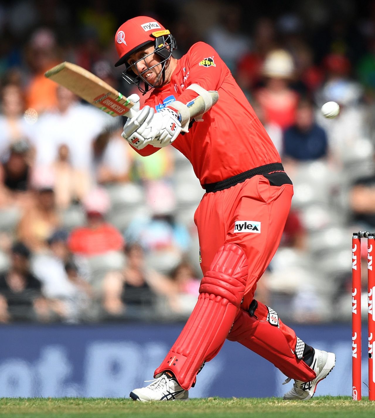 Tom Cooper played a big part in the Melbourne Renegades' 2018-19 win