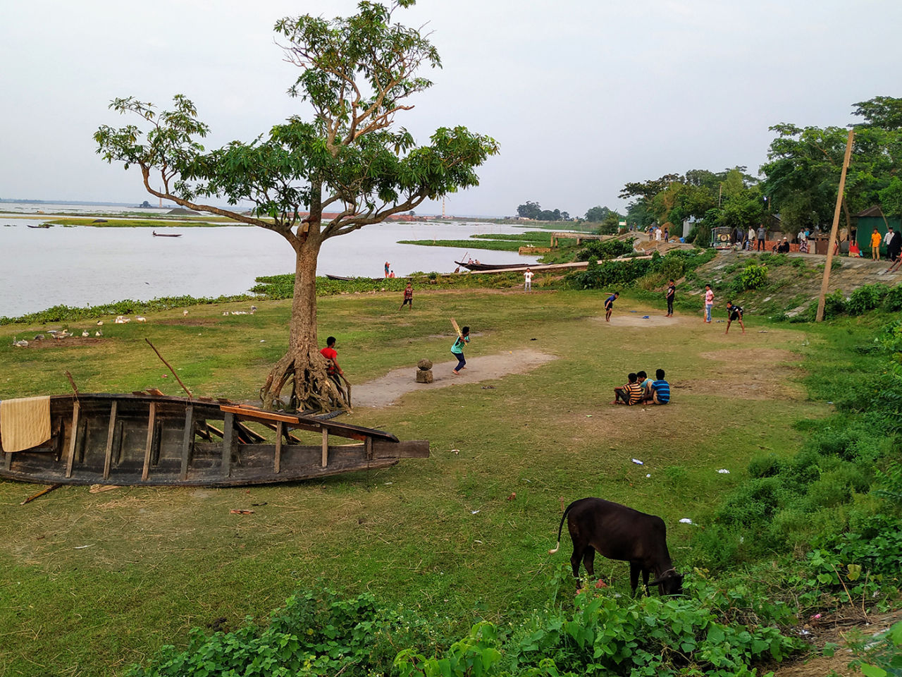 Majibul Haque Bhuiyan: Third umpire sits up the tree on the bank of the Titas River, Brahmanbaria