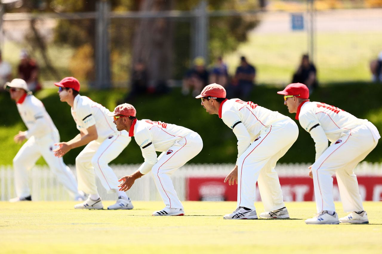 The South Australia slips cordon wait for a chance, South Australia v Western Australia, Sheffield Shield, Karen Rolton Oval, October 10, 2020