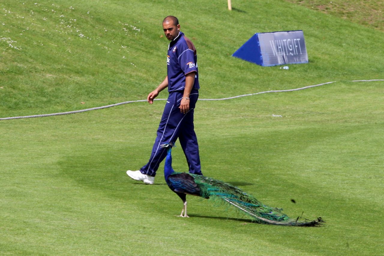Surrey's Scott Newman is followed around the field by a peacock, Surrey vs Hampshire, Cheltenham and Gloucester Trophy, Whitgift School, England, June 04, 2006.