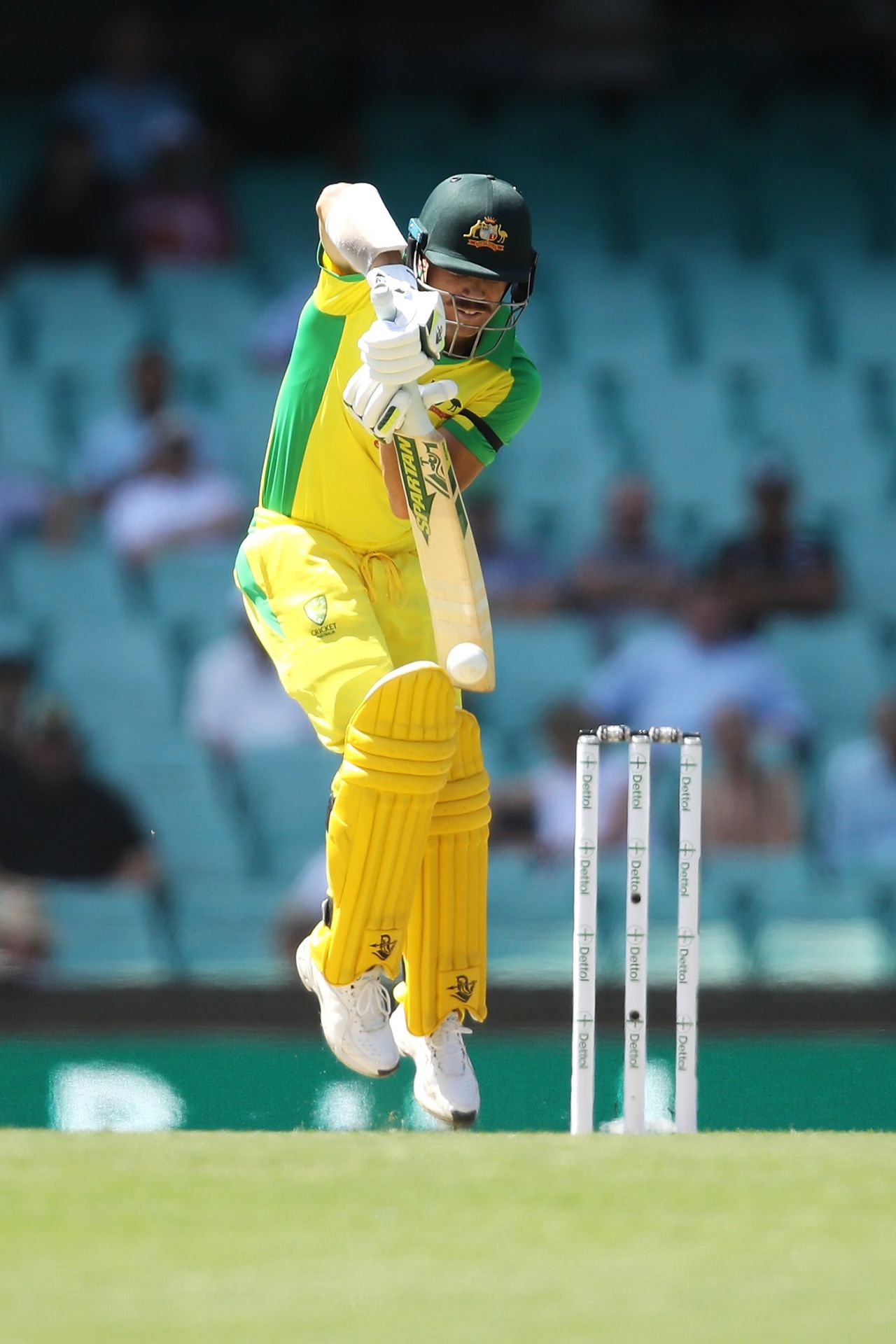 David Warner hops on the back foot to play the ball close to body, Sydney, Australia vs India, 1st ODI, November 27, 2020