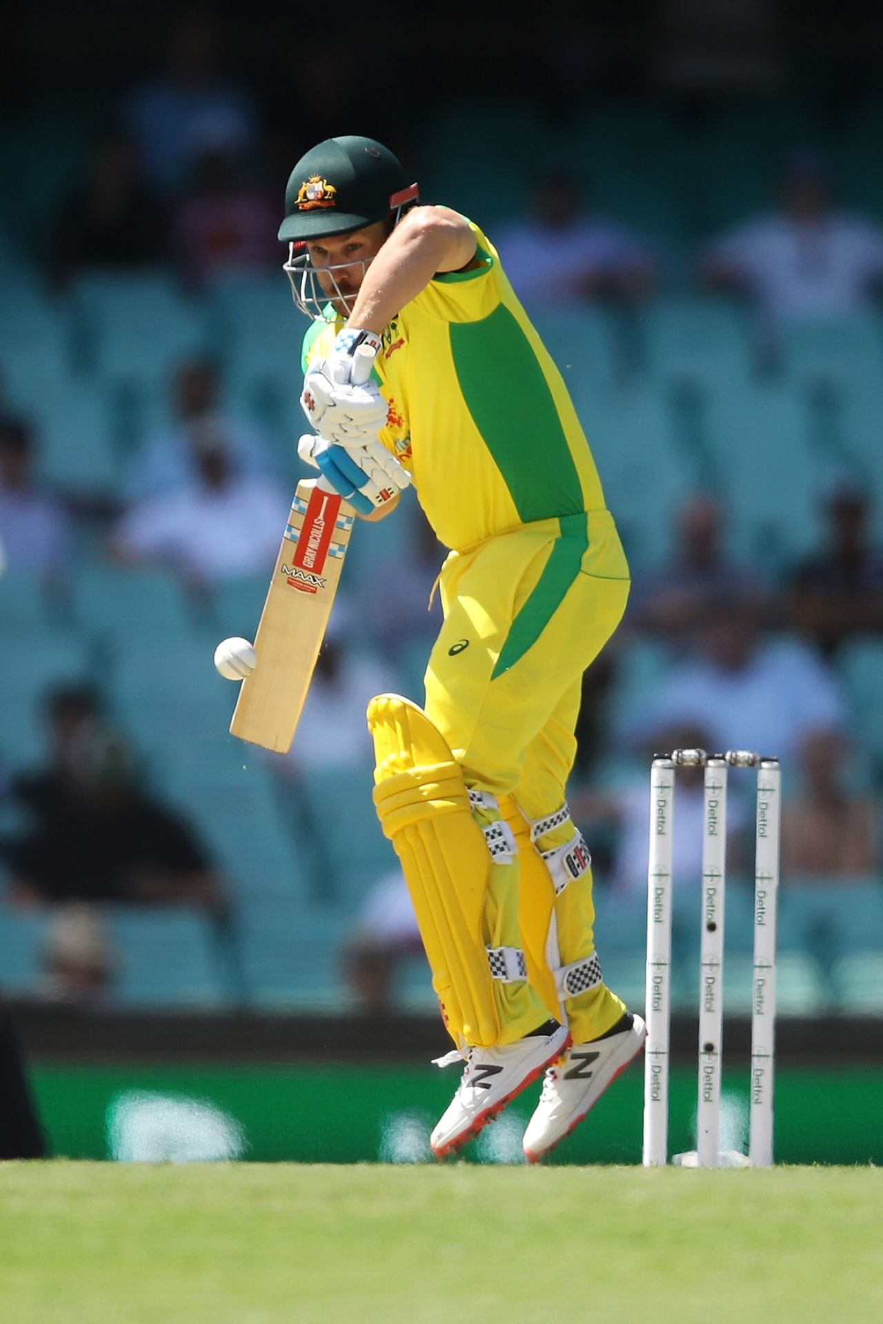 Aaron Finch watches the ball right onto his bat, Sydney, Australia vs India, 1st ODI, November 27, 2020