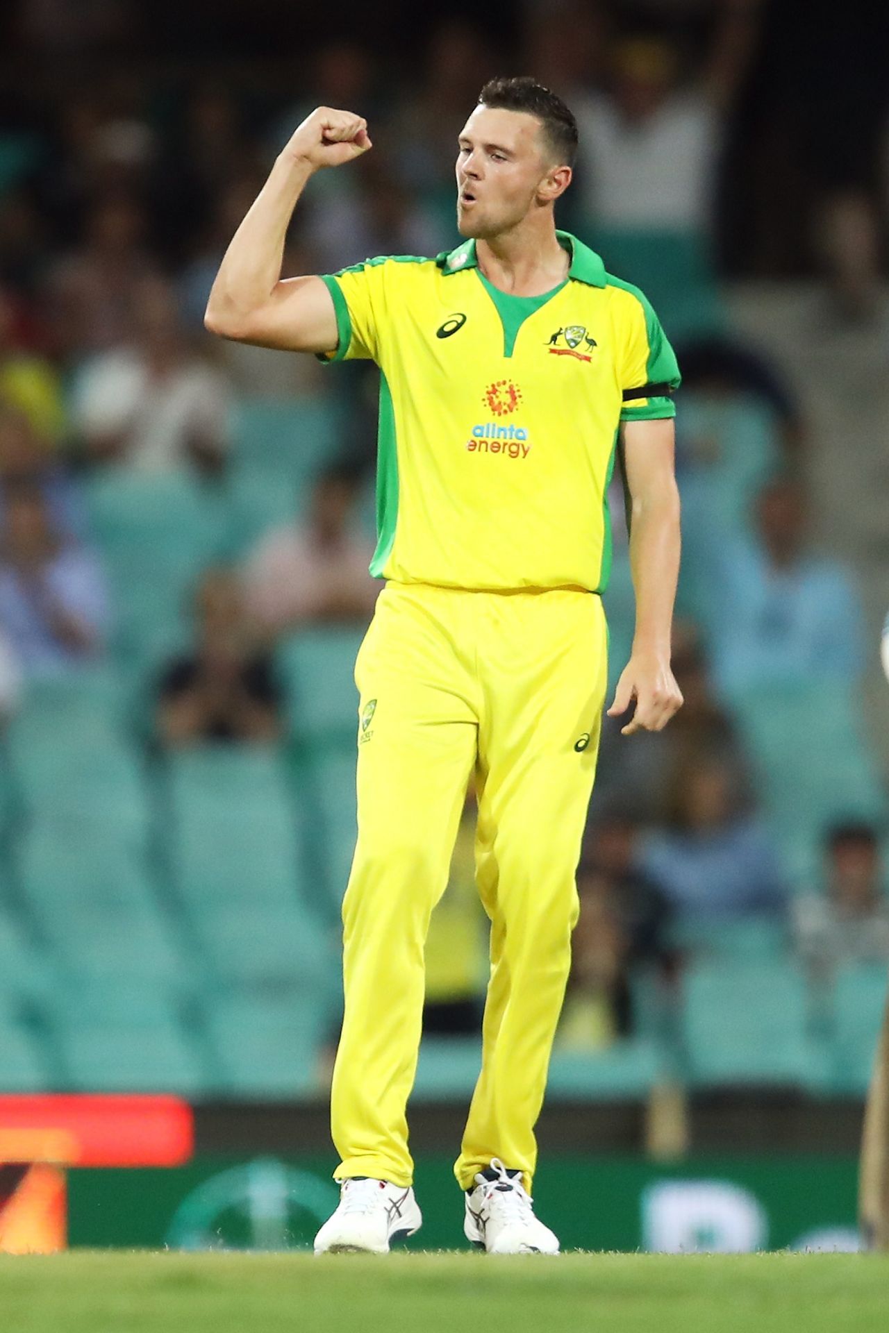 A fist pump after a successful over for Josh Hazlewood, Sydney, Australia vs India, 1st ODI, November 27, 2020