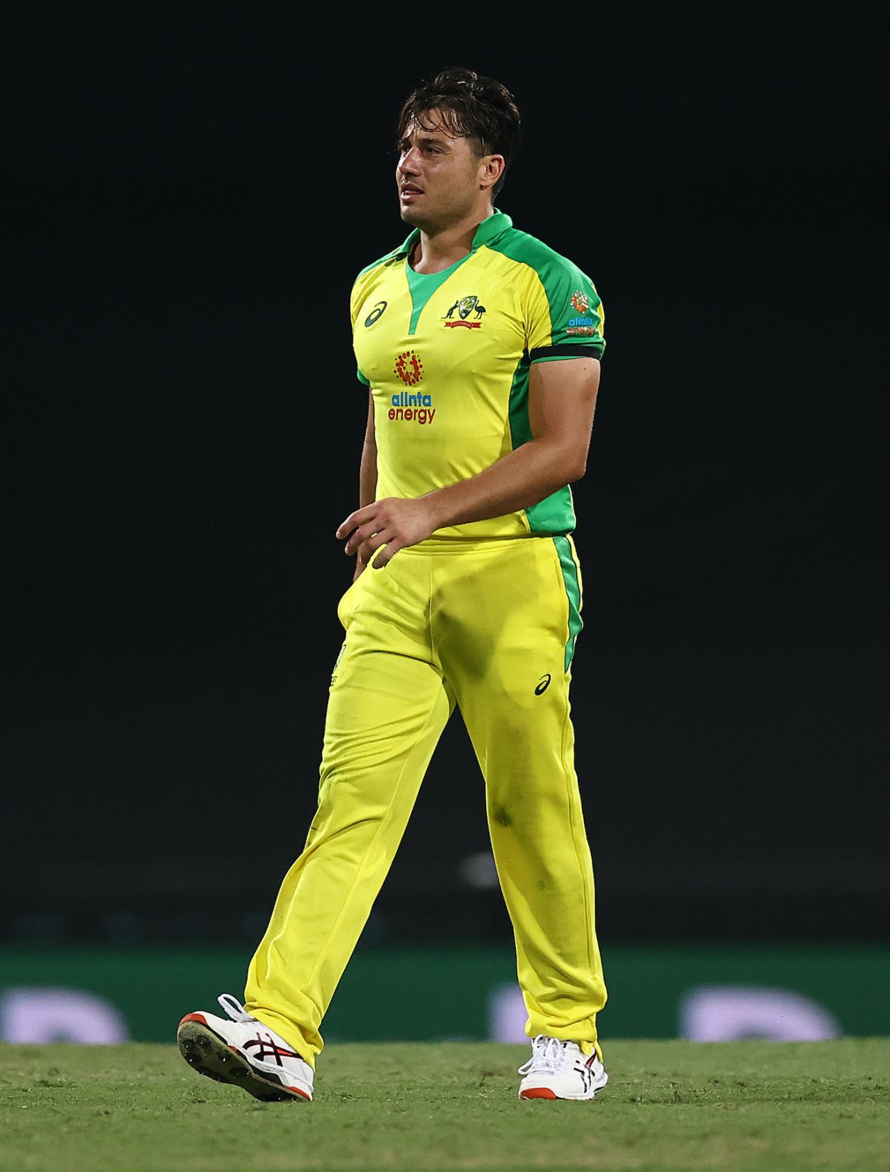Marcus Stoinis leaves the field with an injury, Sydney, Australia vs India, 1st ODI, November 27, 2020